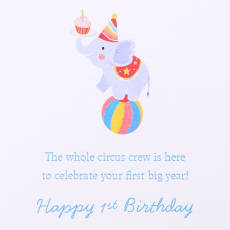 First Big Year 1st Birthday Greeting Card