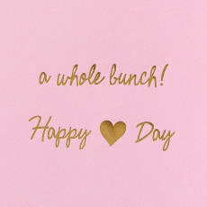 A Whole Bunch Cat Valentines Day Greeting Card