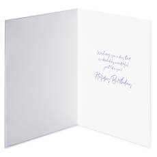 Absolutely Wonderful Birthday Greeting Card