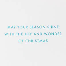 Season Shine Christmas Boxed Cards with Envelopes, 14-Count