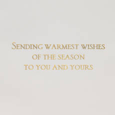 Warmest Wishes Christmas Greeting Card