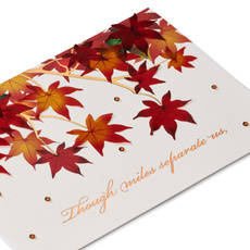 In Our Hearts Thanksgiving Greeting Card