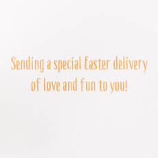 Special Easter Delivery Easter Greeting Card with Bunny Finger Puppet Image 3