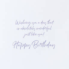 Absolutely Wonderful Birthday Greeting Card