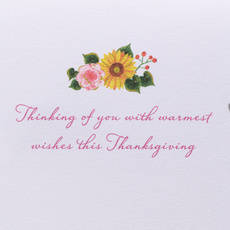 Warmest Wishes Thanksgiving Greeting Card