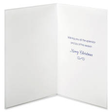 Splendor and Joy of the Season Christmas Greeting Card Image 2