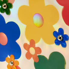 Multicolored Daisies 11