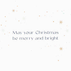 Merry and Bright Christmas Boxed Cards with Envelopes, 20-Count