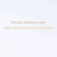 A Spectacular Day Mothers Day Greeting Card Image 3