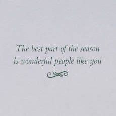 Wonderful People Like You Christmas Greeting Card