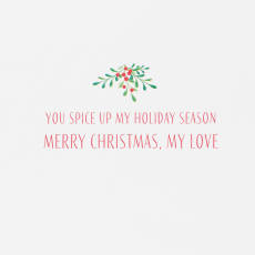 You Spice up my Holiday Season Romantic Christmas Greeting Card Image 3