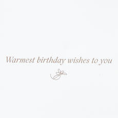 Warmest Birthday Wishes Birthday Greeting Card