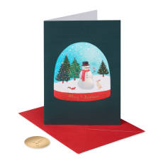  Joy and Wonder Christmas Boxed Cards with Envelopes, 12-Count