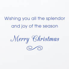 Splendor and Joy of the Season Christmas Greeting Card Image 3