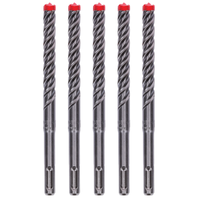 Rebar Demon™ SDS-Plus 12 x 165mm (5-Pack)