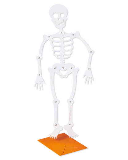 Skeleton Halloween Greeting Card