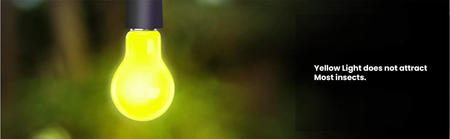 image banner 4