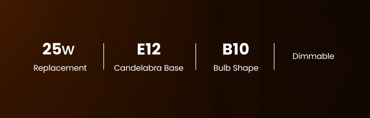 image banner 2