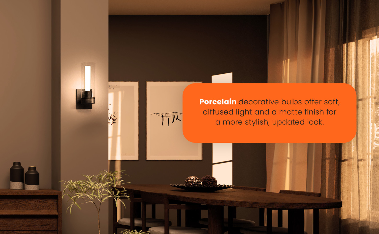 image banner 5