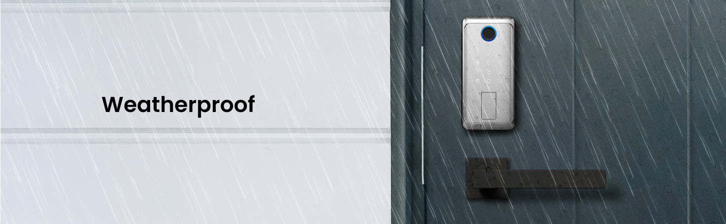 image banner 4