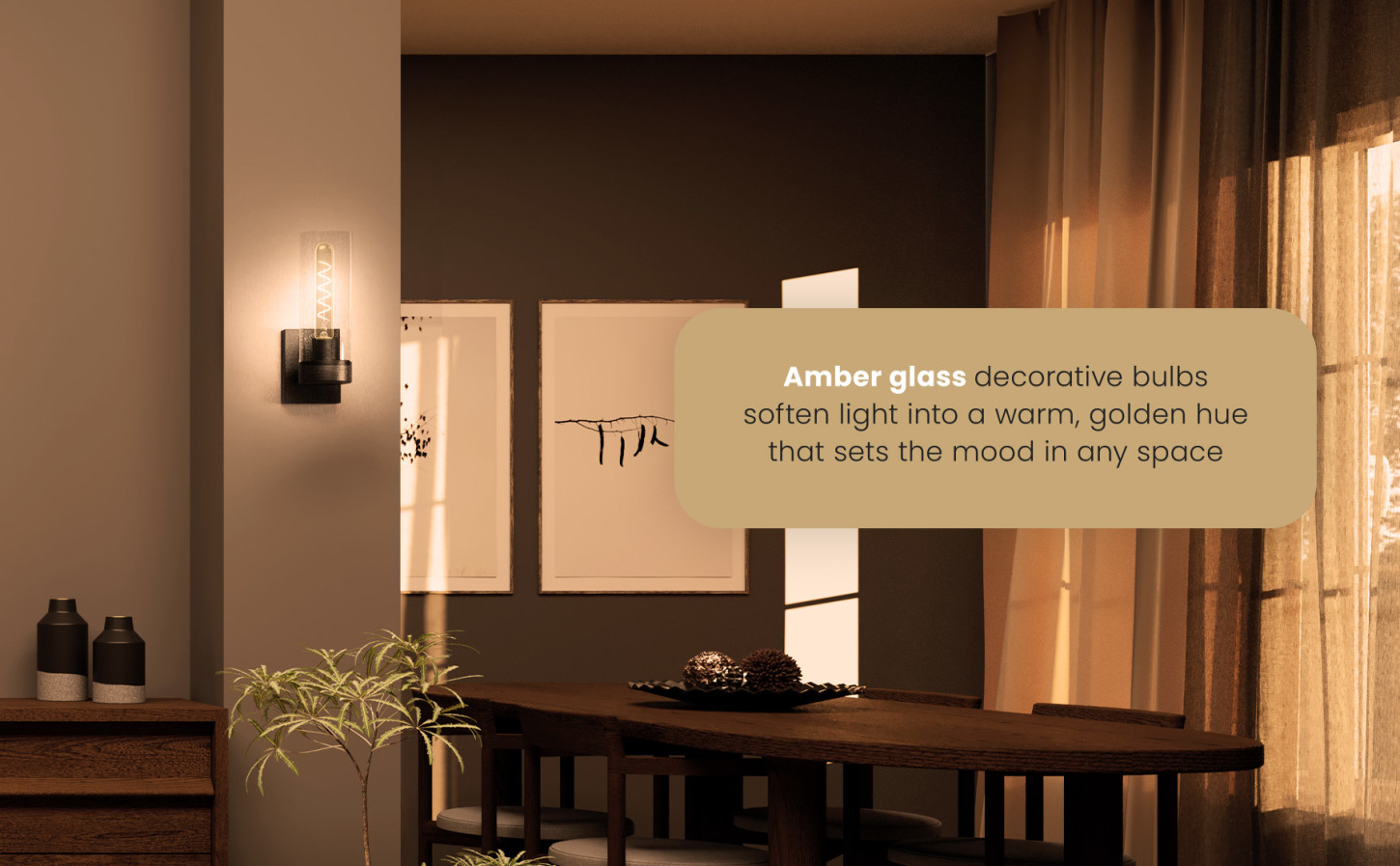 image banner 5