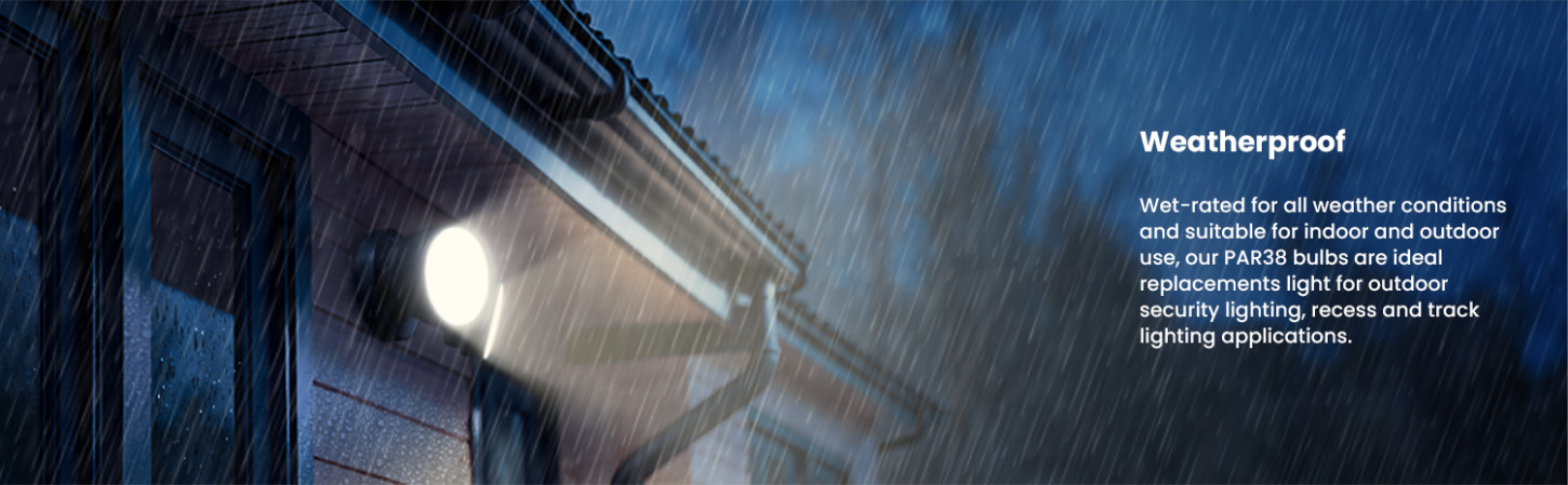 image banner 2