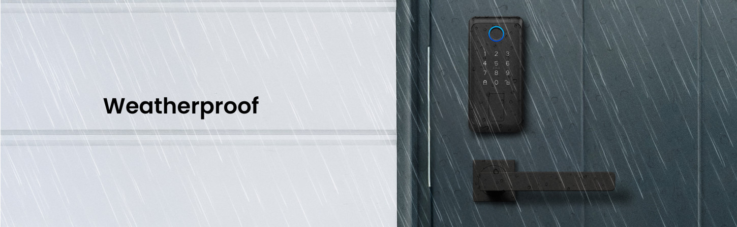 image banner 4