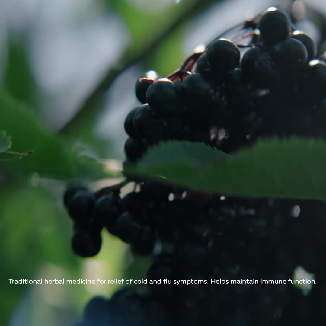 Promotional Video for Gélifiés Sambucus Soutien immunitaire pour Enfants / 60 gélifiés