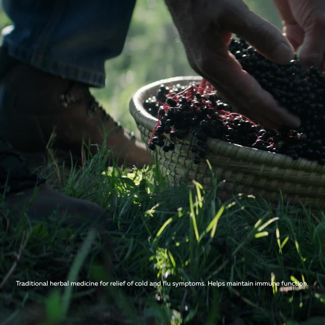 Promotional Video for Sambucus Cold and Flu Care, Original Gummies / 60 gummies