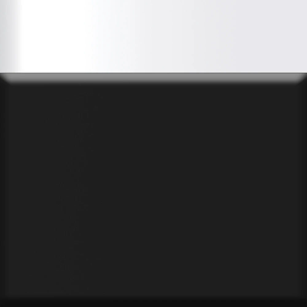 Black with Shiny White Trim