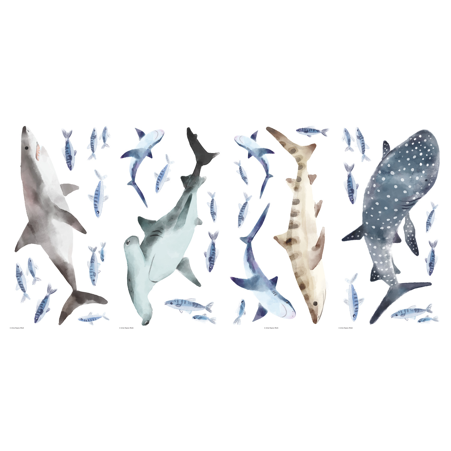Shark Decal Code Sharks Wall Decals | York Design Group Product Catalog