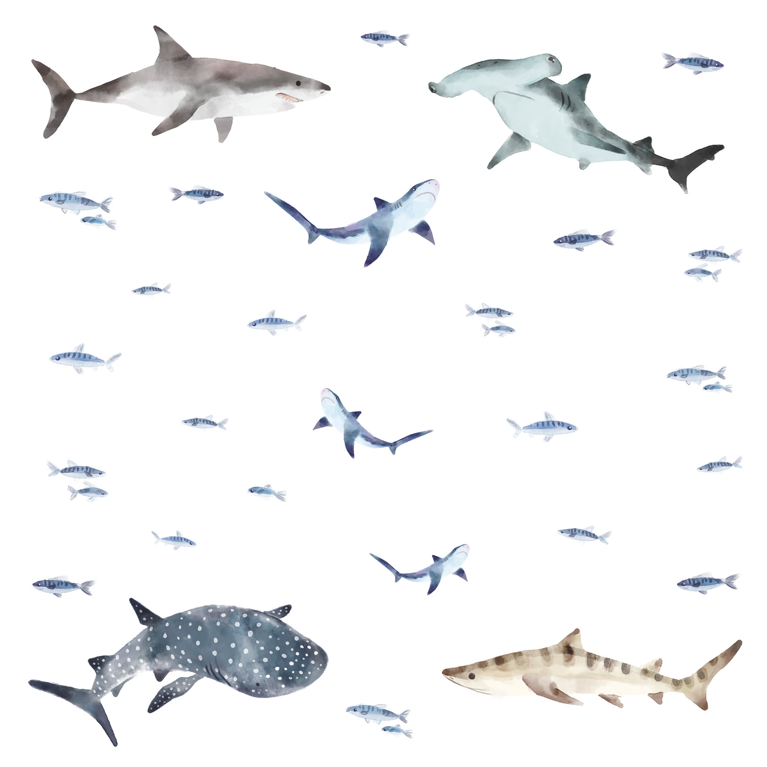 Shark Decal Code Sharks Wall Decals | York Design Group Product Catalog