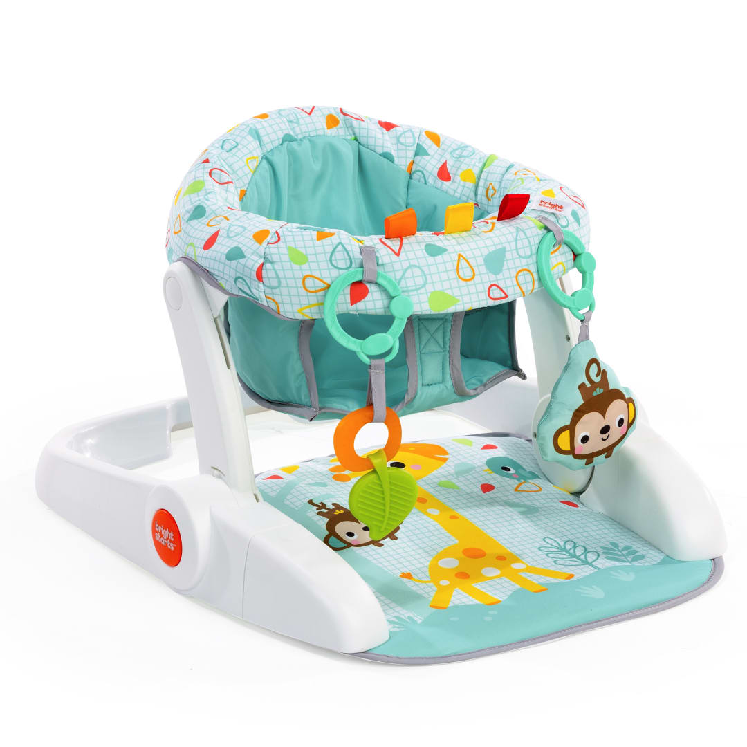 BS WILD VIBES LEARN TO SIT