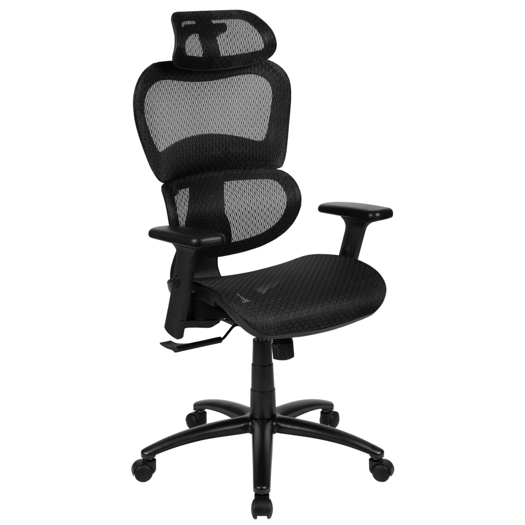 LO Ergonomic Mesh Office Chair with 2-to-1 Synchro-Tilt, Adjustable Headrest, Lumbar Support, and Adjustable Pivot Arms in Black