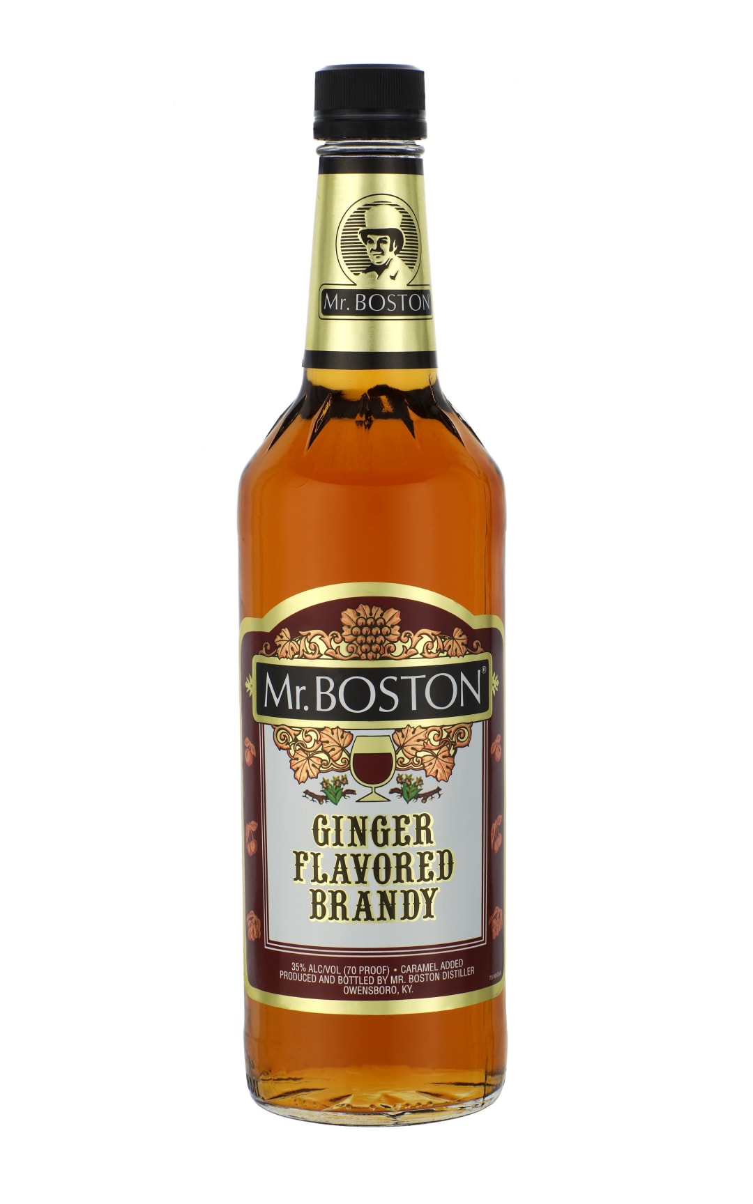 Mr. Boston Ginger Brandy 750ml 70 Proof