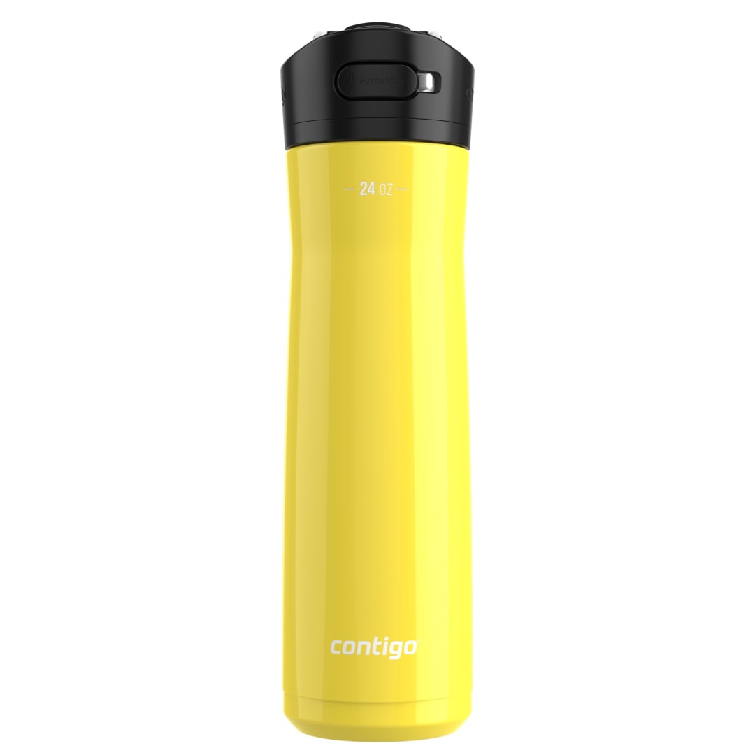 ASHLAND CHILL 2.0 24OZ PINEAPPLE