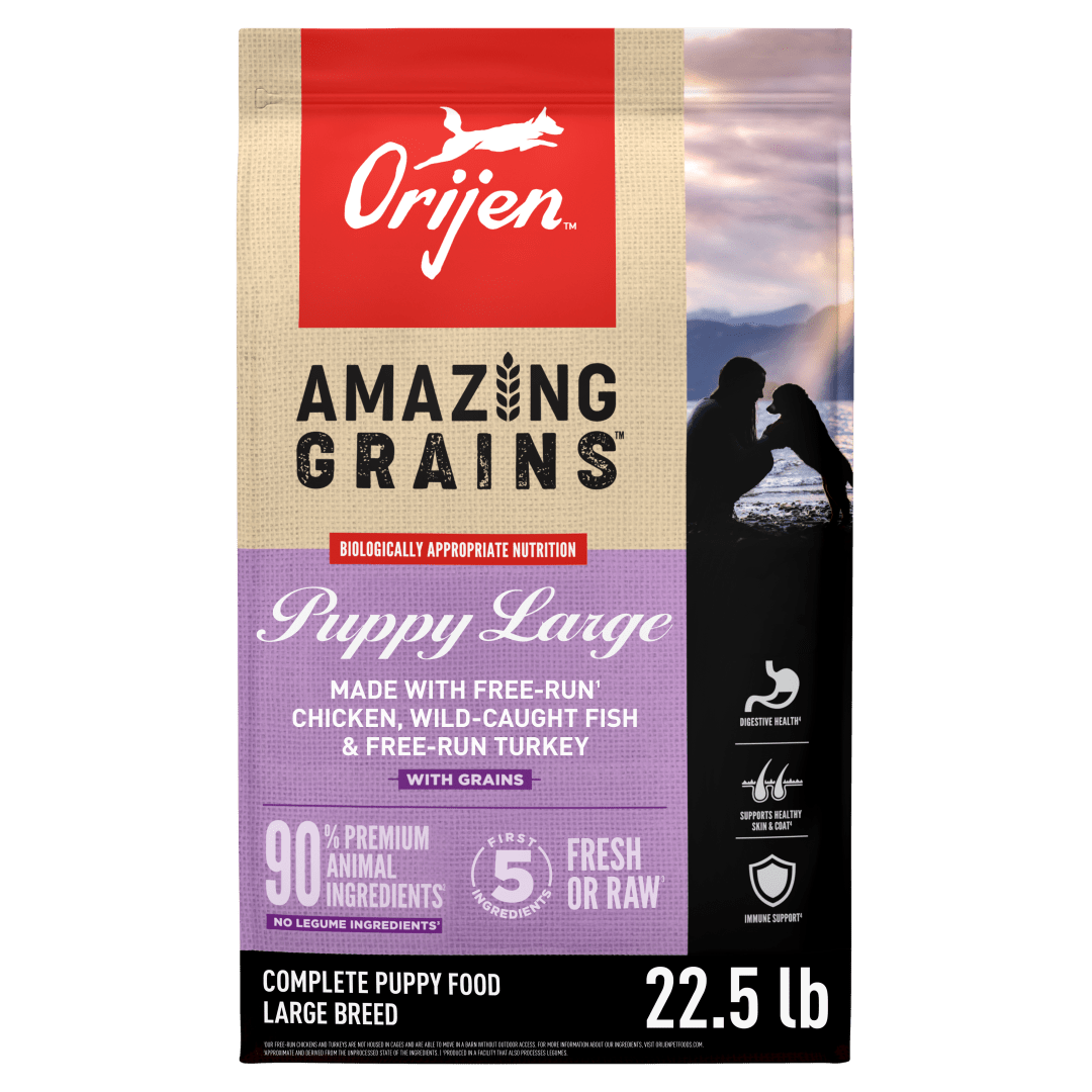 ORIJEN Amazing Grains High Protein Dry Dog Food Puppy Large Breed Recipe