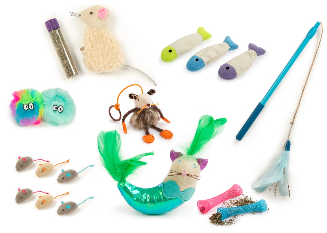 SmartyKat Welcome Home (Set of 18) New Cat Toy Necessity Pack, Catnip Cat Toys, Catnip and Wands