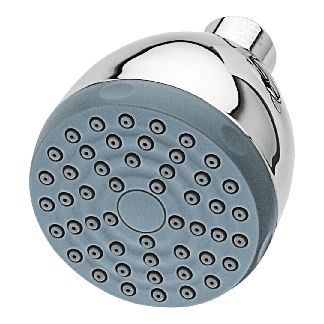 Pfirst SeriesSingle Function Showerhead in Polished Chrome