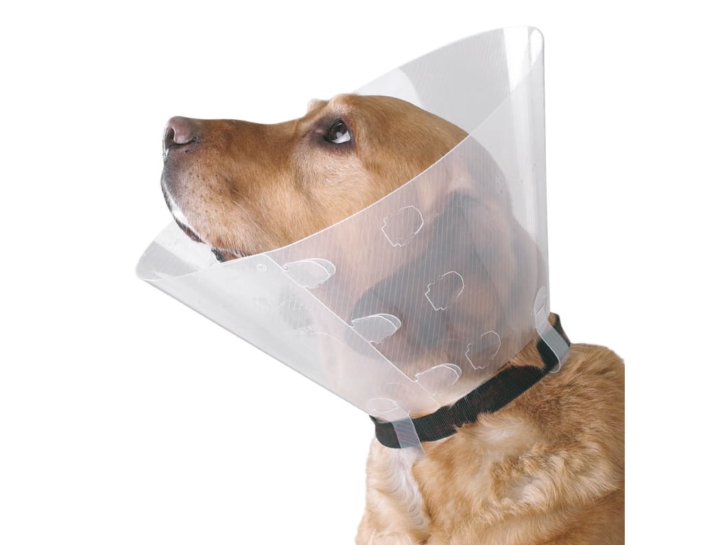 BUSTER Clic Collar, Transparent, 7.5cm