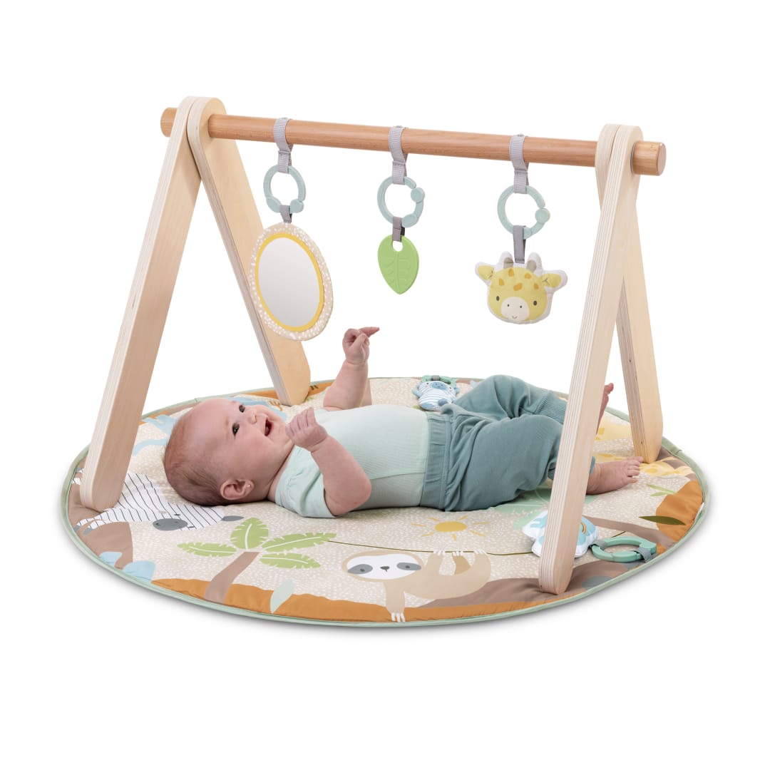 ING WONDER_N_ WOOD WOODEN TOY ARCH N MAT