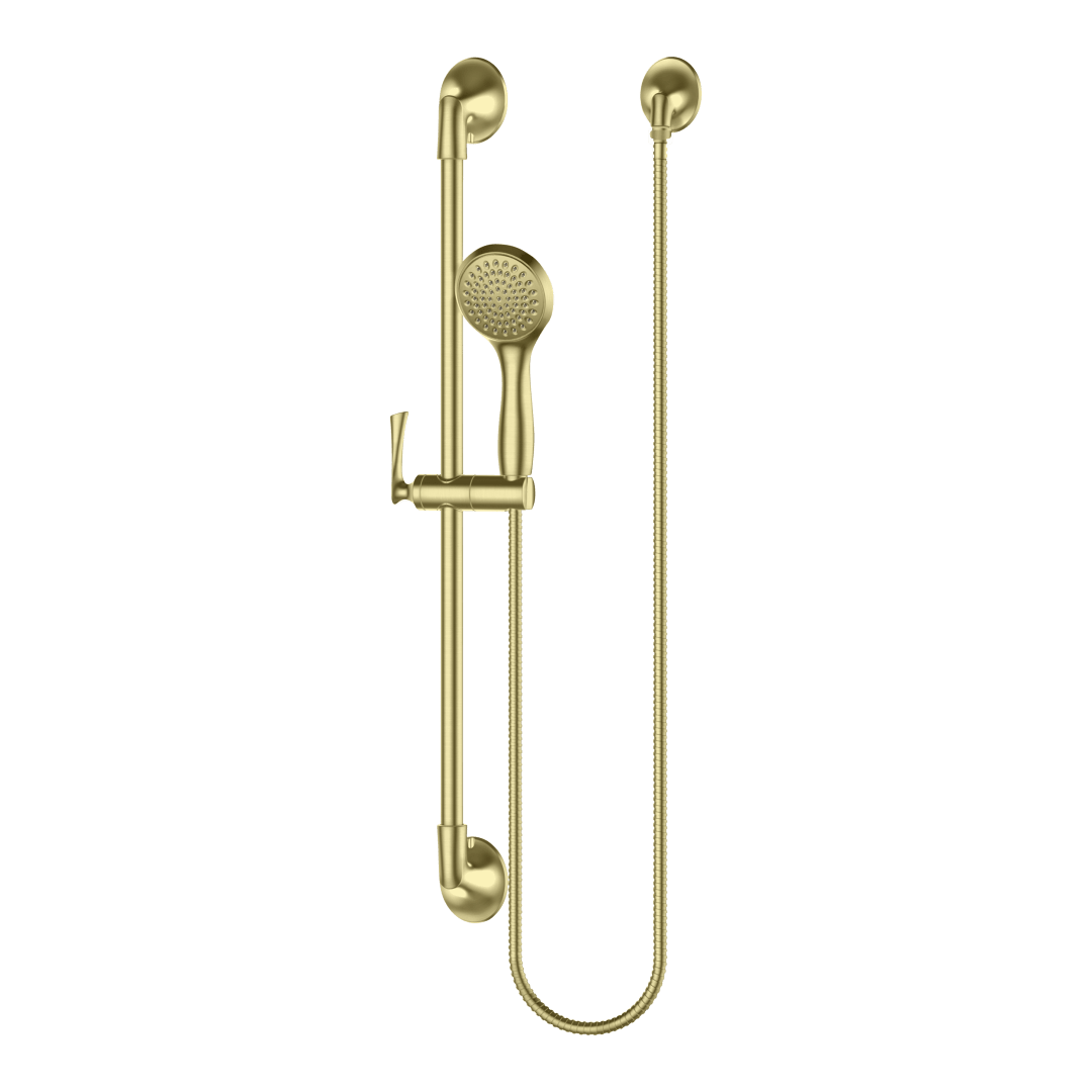 Rhen Handheld Shower with Slide Bar in Brushed Gold