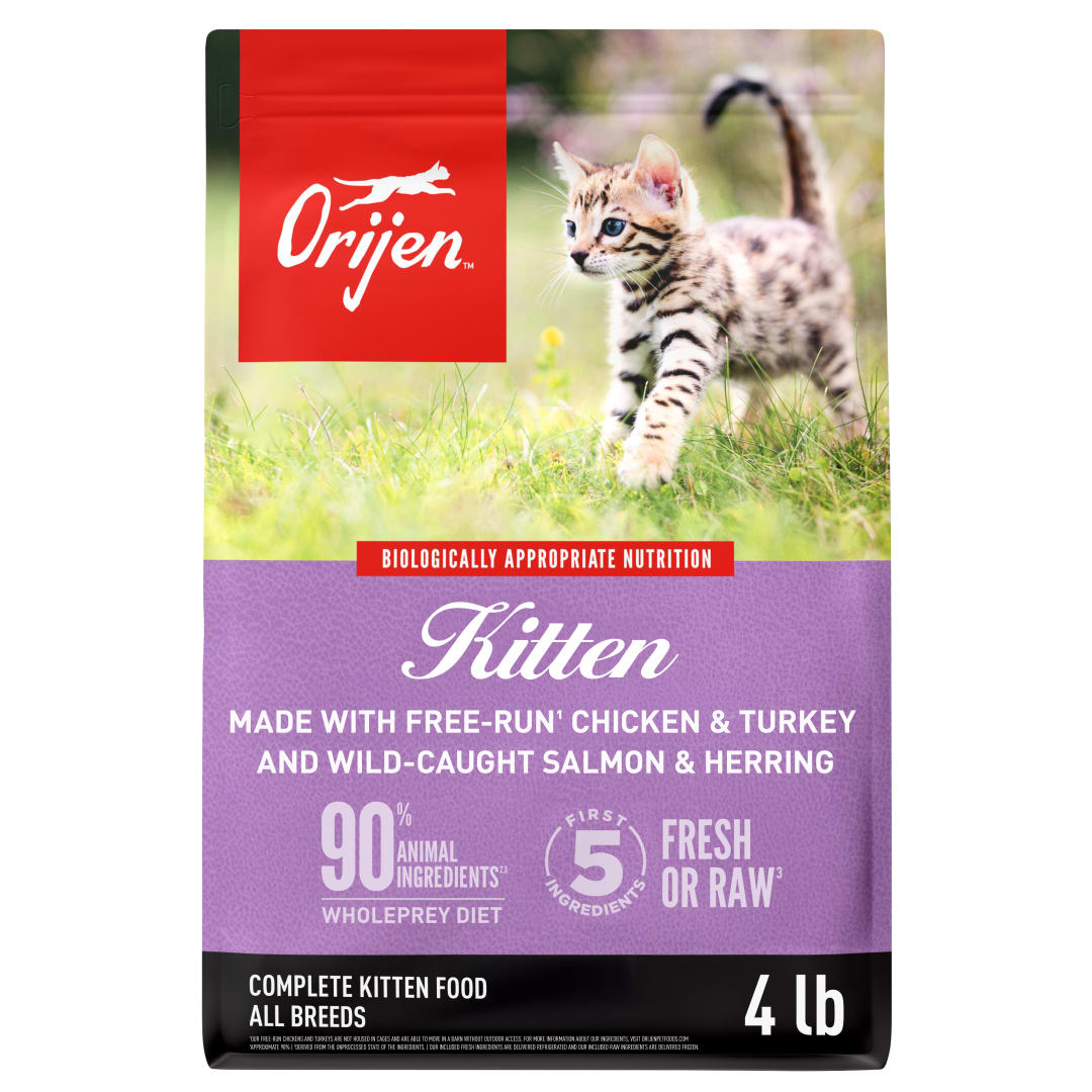 ORIJEN Grain Free High Protein Premium Dry Cat Food Kitten Recipe
