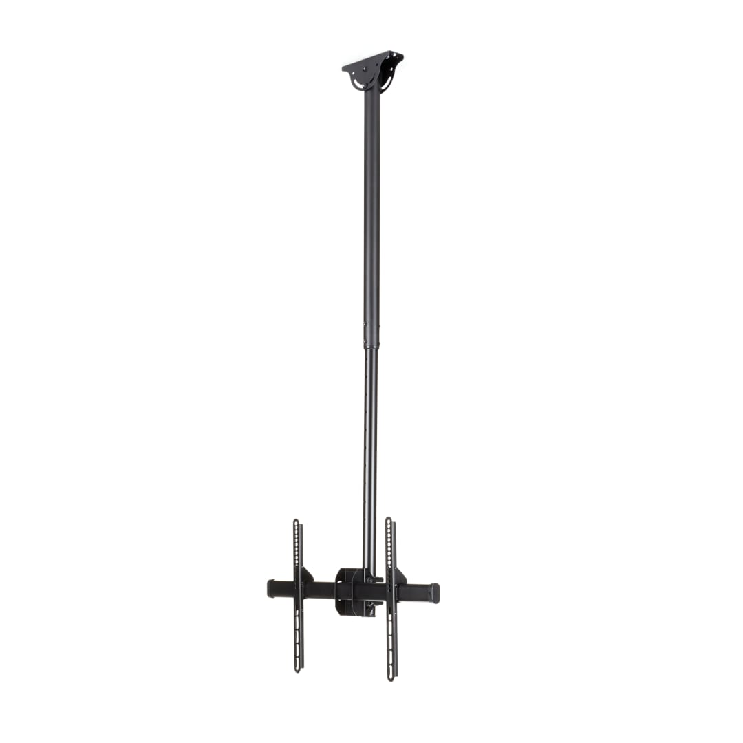 Flat panel ceiling mount