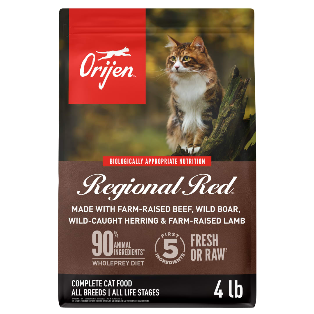 ORIJEN Grain Free High Protein Premium Dry Cat Food Regional Red Recipe