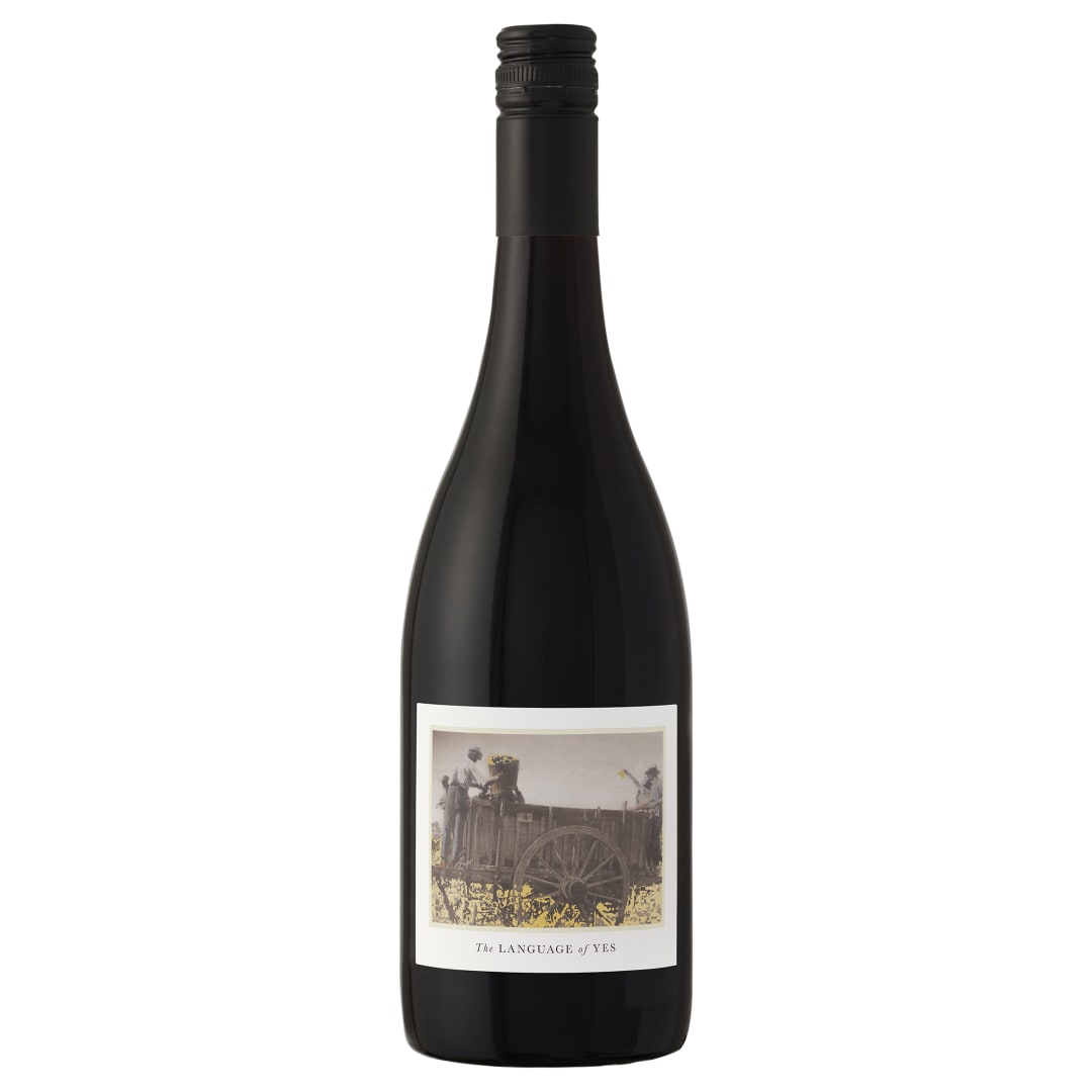 The Language Of Yes Syrah Red Wine 750ml