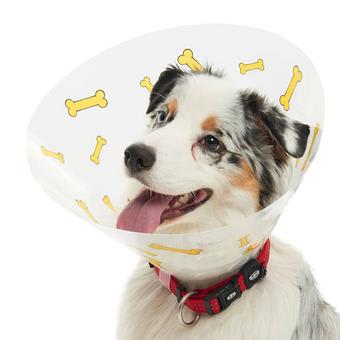 BUSTER Design Dog Collar, "Bones", Yellow, 20cm