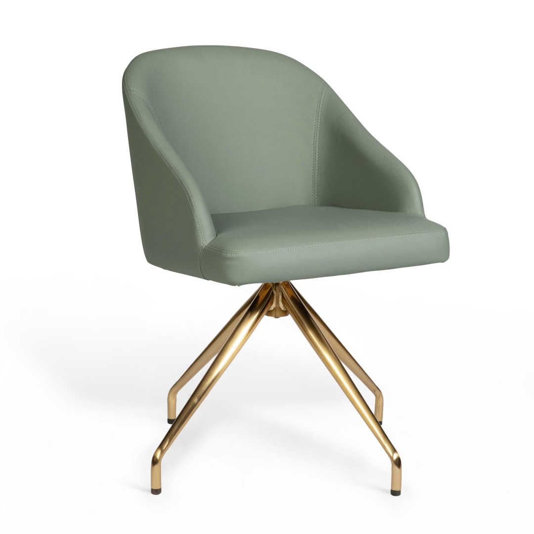 Sora Upholstered Stationary Office Chair in Sage/Polished Brass