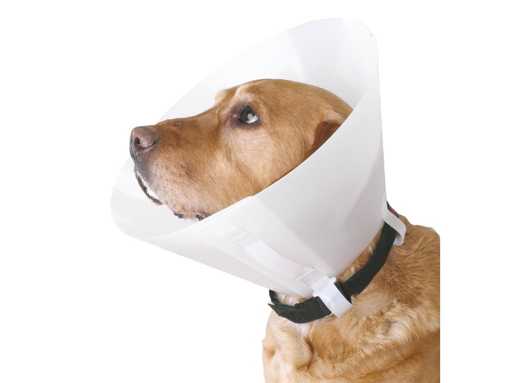 BUSTER Classic Collar, Transparent, 30cm