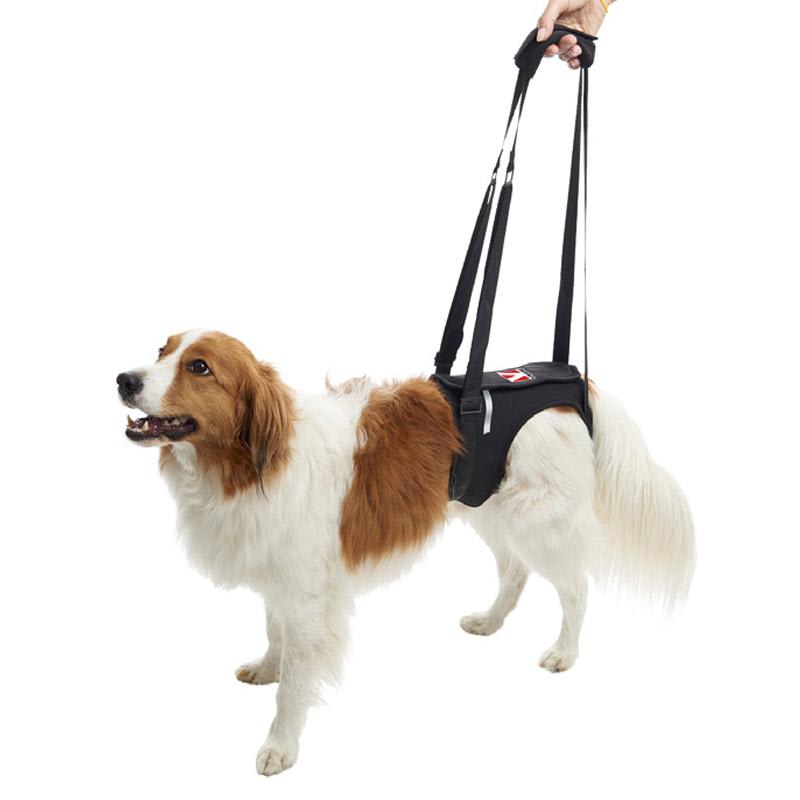 Rehab Lifting Harnesses for Hind Legs, Black, Small